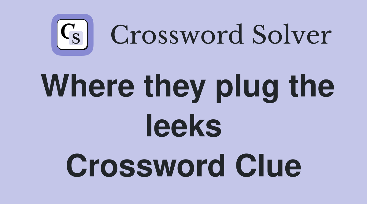 Where they plug the leeks Crossword Clue