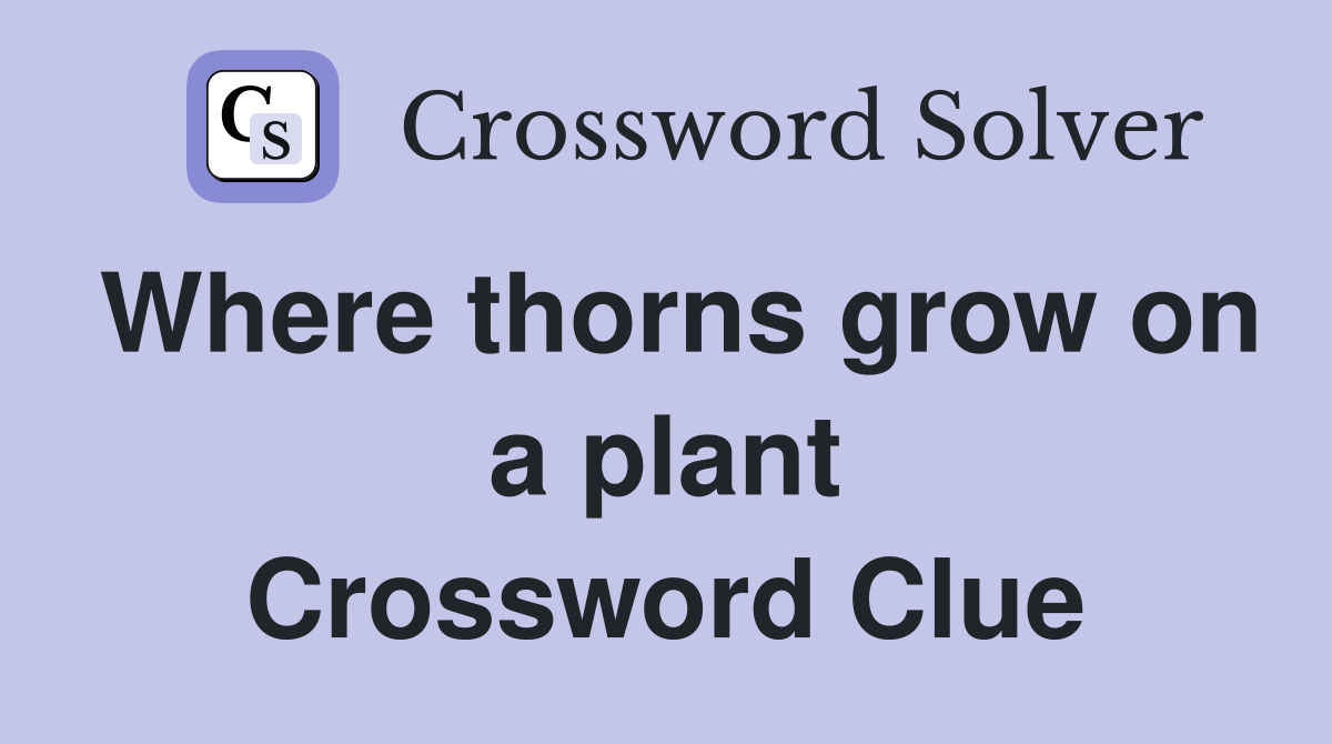 Where thorns grow on a plant Crossword Clue