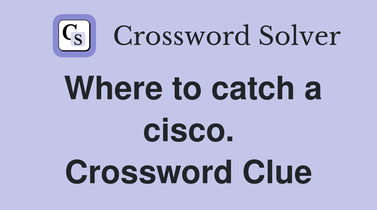 Where to catch a cisco. Crossword Clue