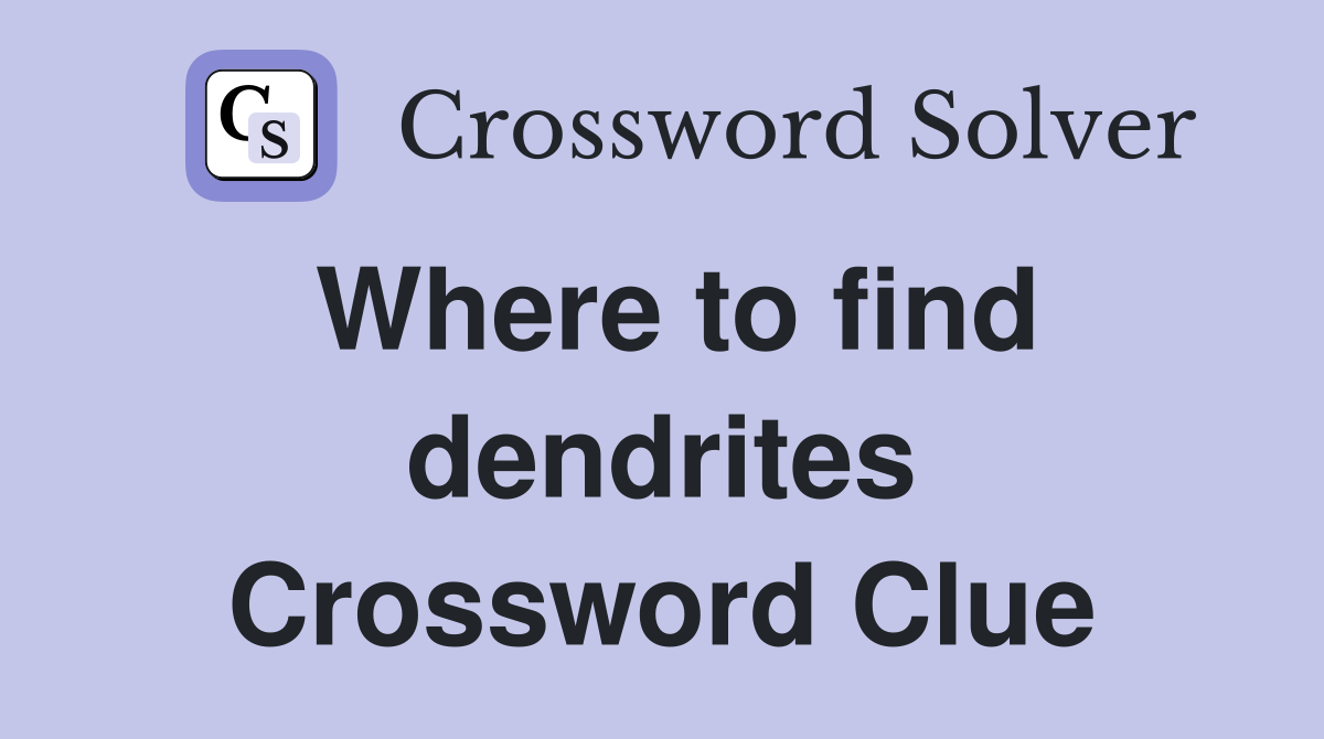 Where to find dendrites Crossword Clue