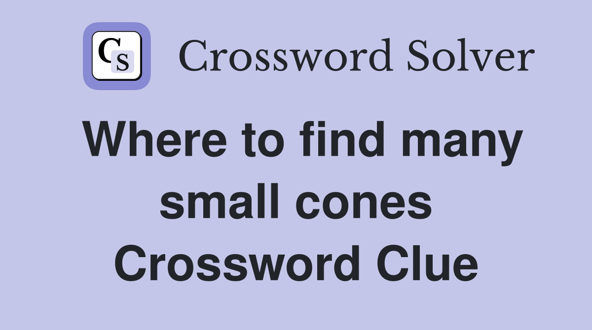 Where to find many small cones Crossword Clue