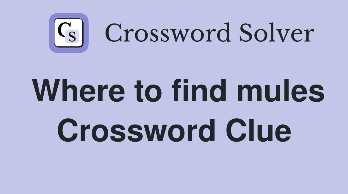 Where to find mules Crossword Clue