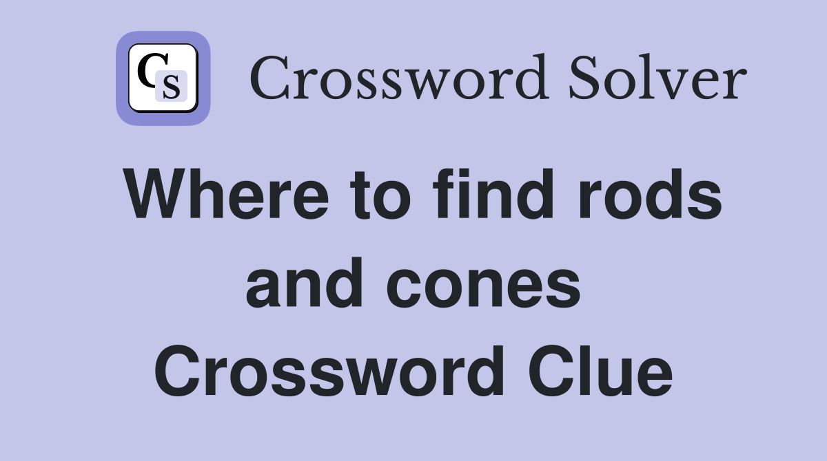 Where to find rods and cones Crossword Clue