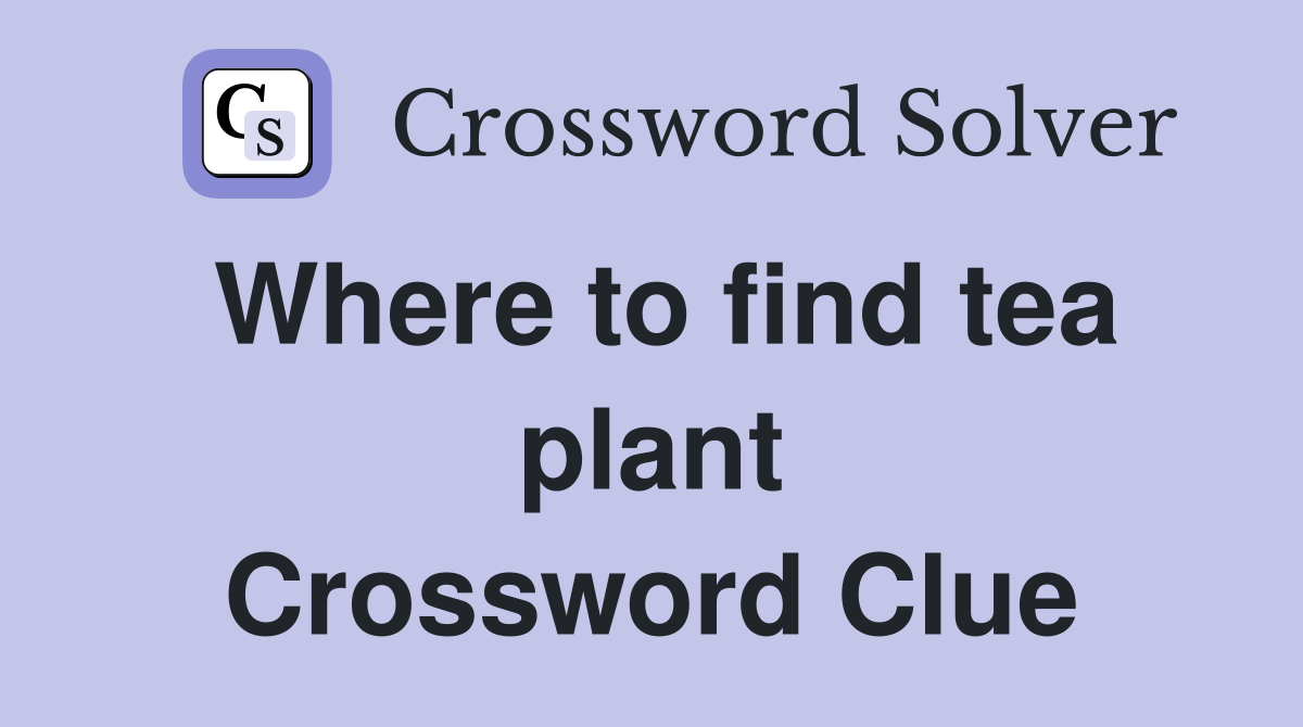 Where to find tea plant Crossword Clue