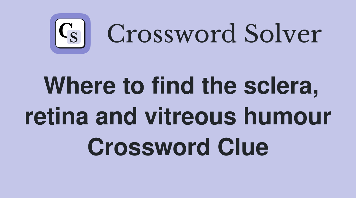 Where to find the sclera, retina and vitreous humour Crossword Clue