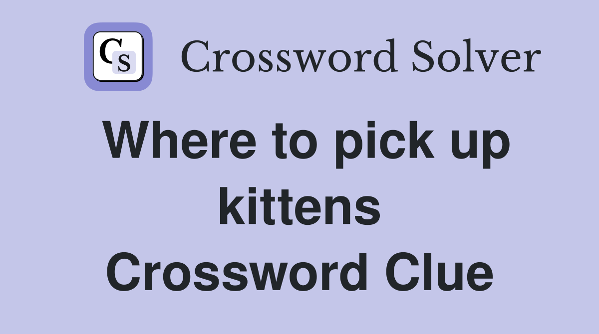 Where to pick up kittens Crossword Clue