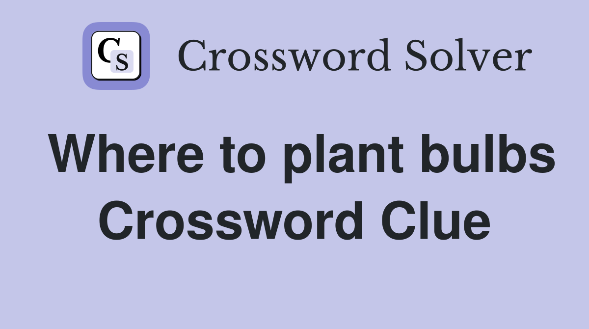 Where to plant bulbs Crossword Clue