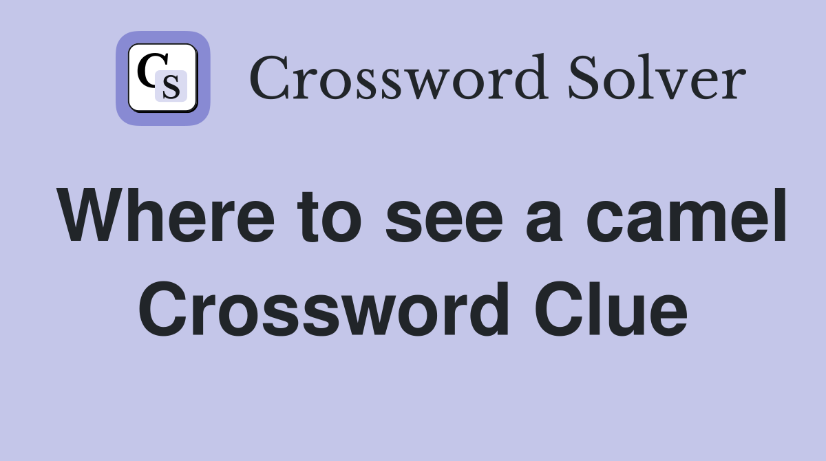 Where to see a camel Crossword Clue