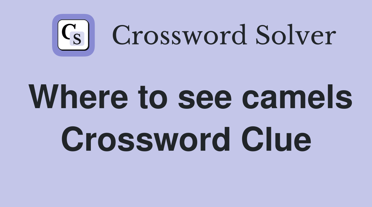 Where to see camels Crossword Clue