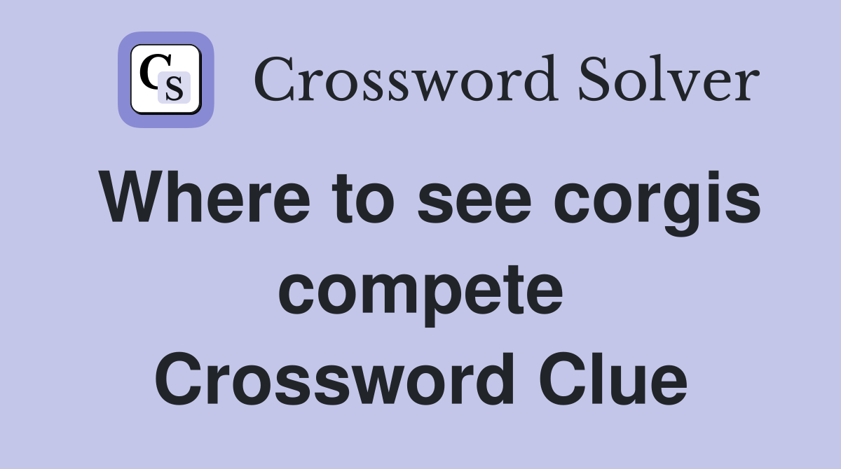 Where to see corgis compete Crossword Clue