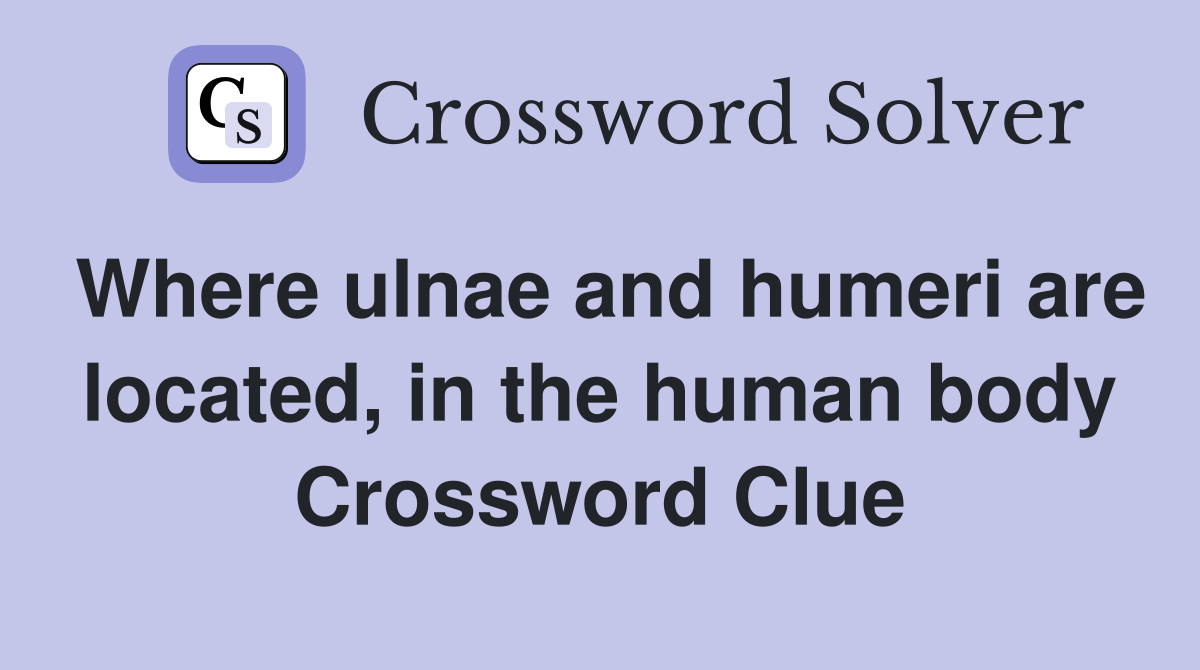 Where ulnae and humeri are located, in the human body Crossword Clue