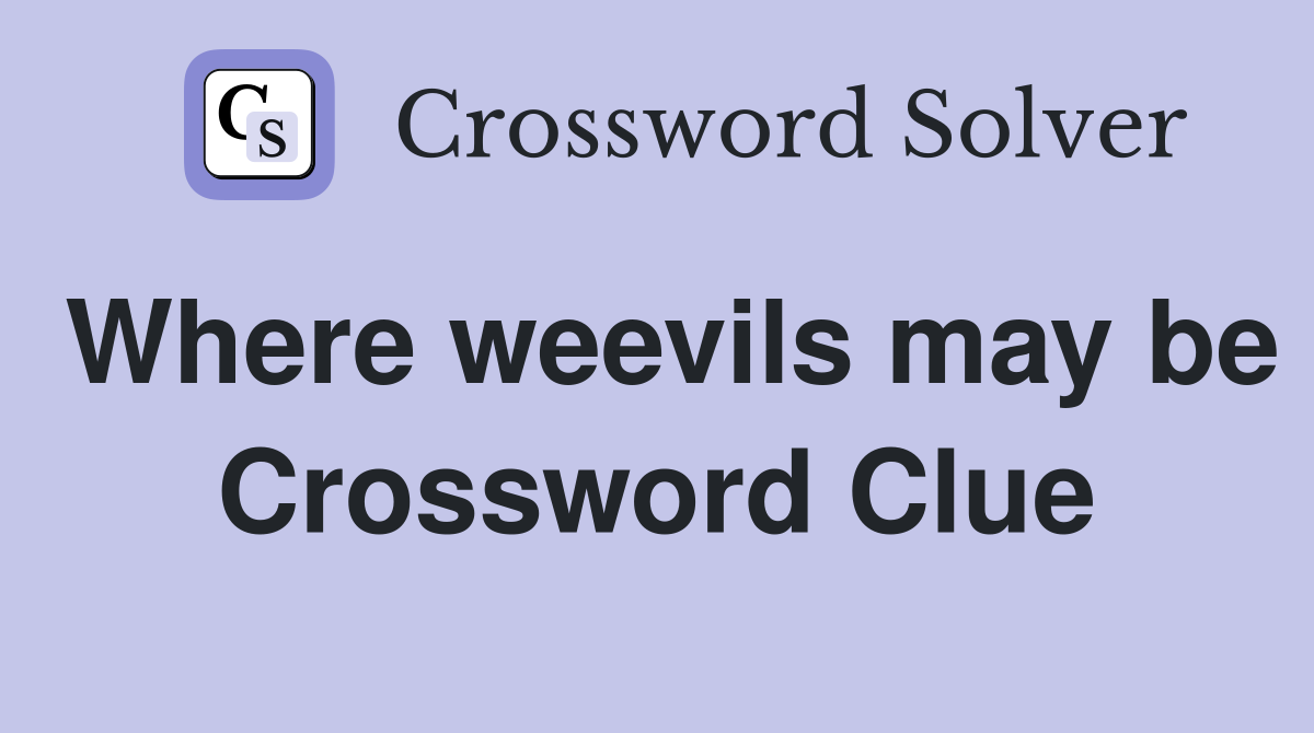 Where weevils may be Crossword Clue
