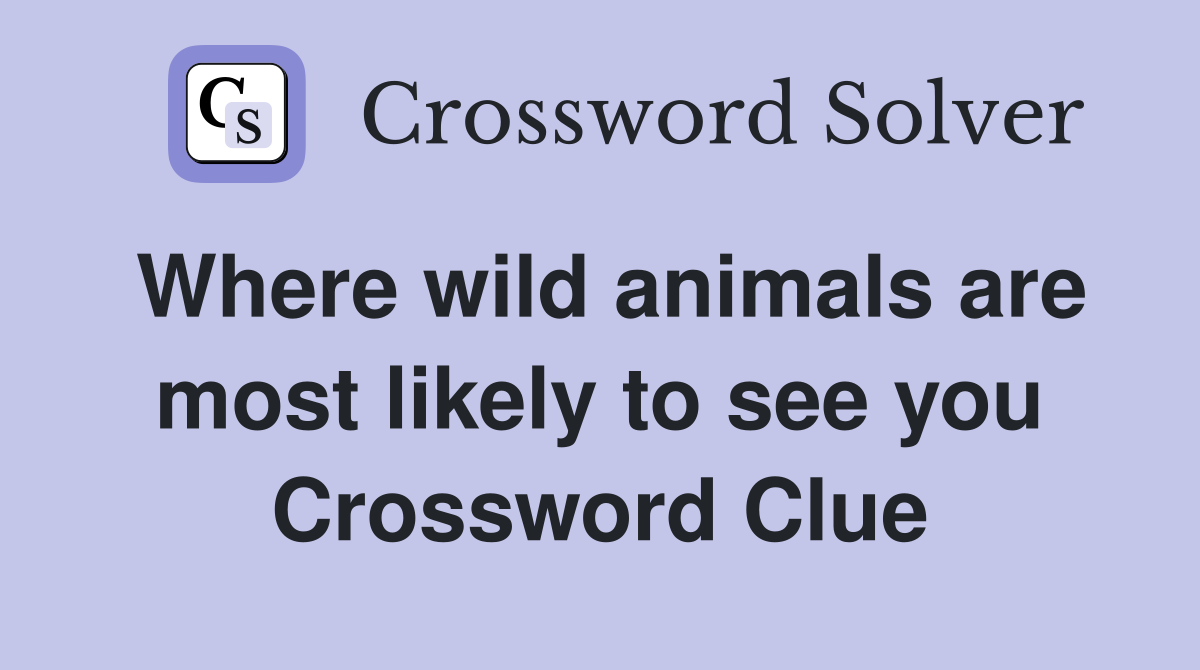 Where wild animals are most likely to see you Crossword Clue