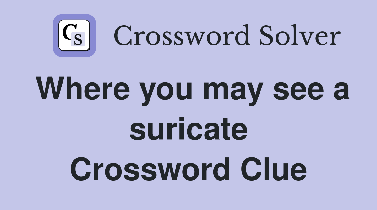 Where you may see a suricate Crossword Clue