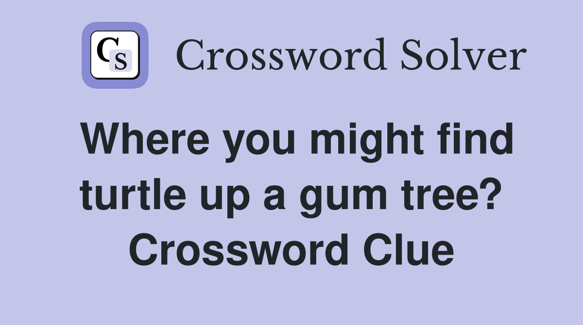 Where you might find turtle up a gum tree? Crossword Clue