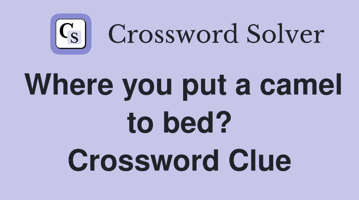 Where you put a camel to bed? Crossword Clue