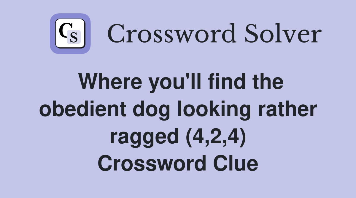 Where you'll find the obedient dog looking rather ragged (4,2,4) Crossword Clue
