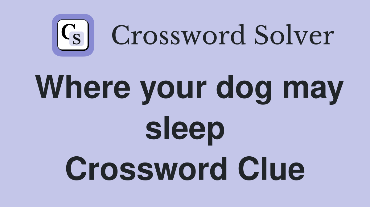 Where your dog may sleep Crossword Clue