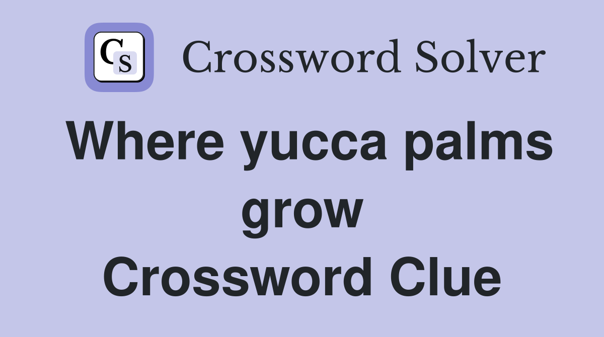 Where yucca palms grow Crossword Clue