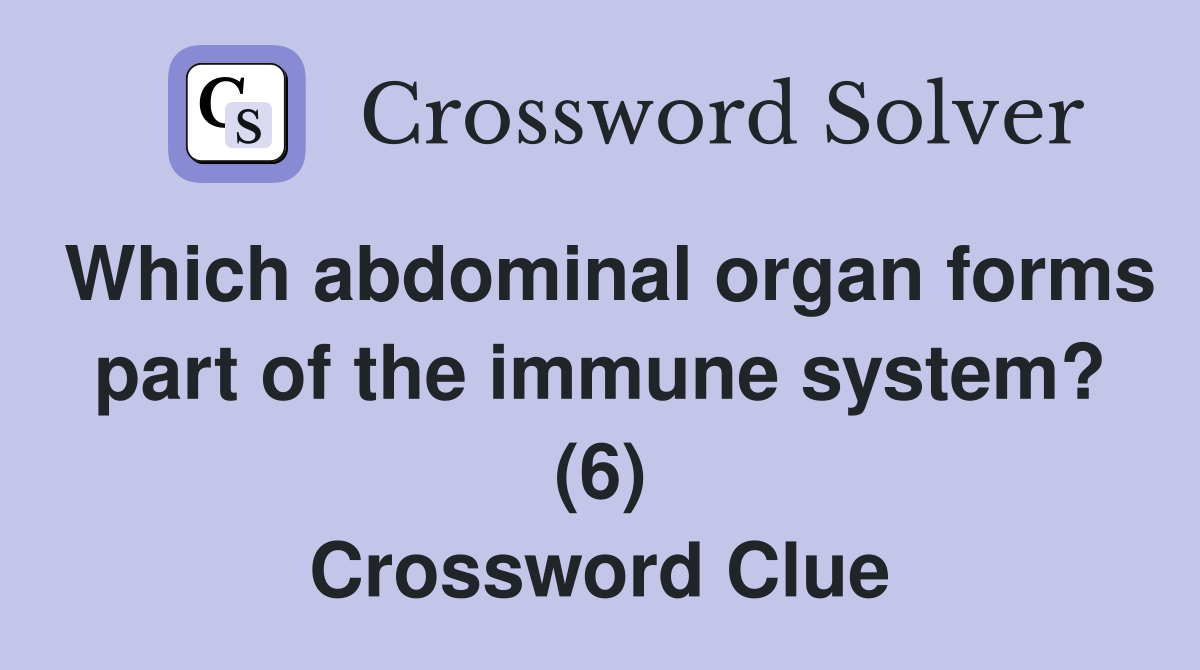 Which abdominal organ forms part of the immune system? (6) Crossword Clue