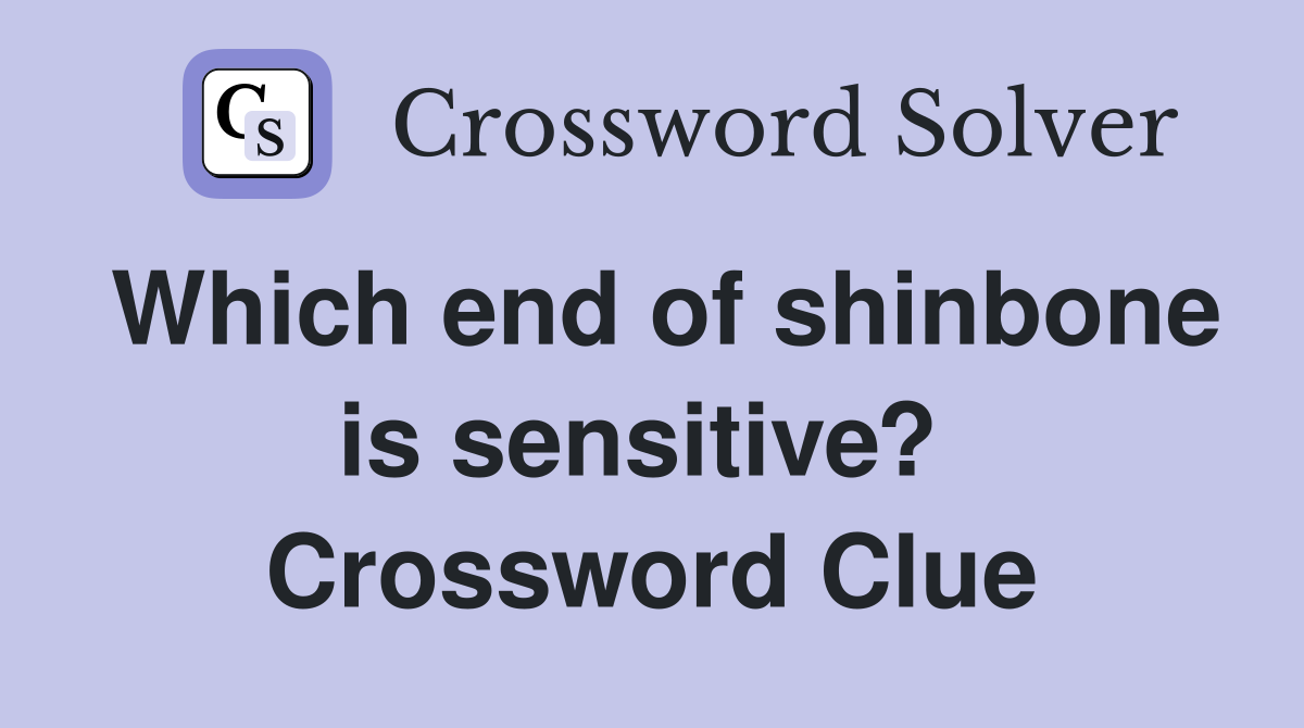 Which end of shinbone is sensitive?  Crossword Clue