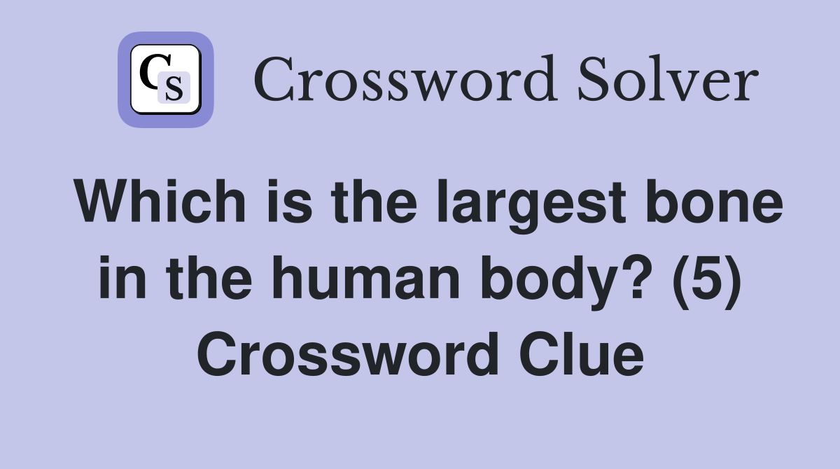Which is the largest bone in the human body? (5) Crossword Clue