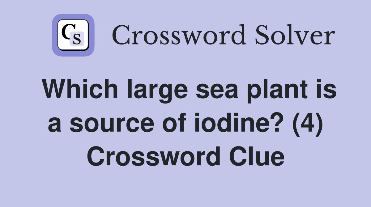 Which large sea plant is a source of iodine? (4) Crossword Clue