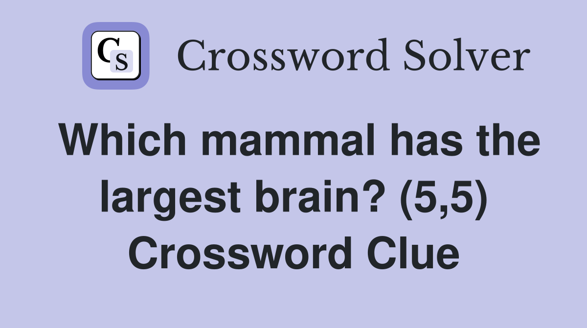 Which mammal has the largest brain? (5,5) Crossword Clue