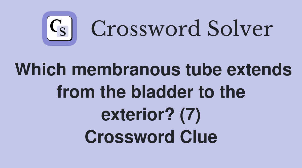 Which membranous tube extends from the bladder to the exterior? (7) Crossword Clue