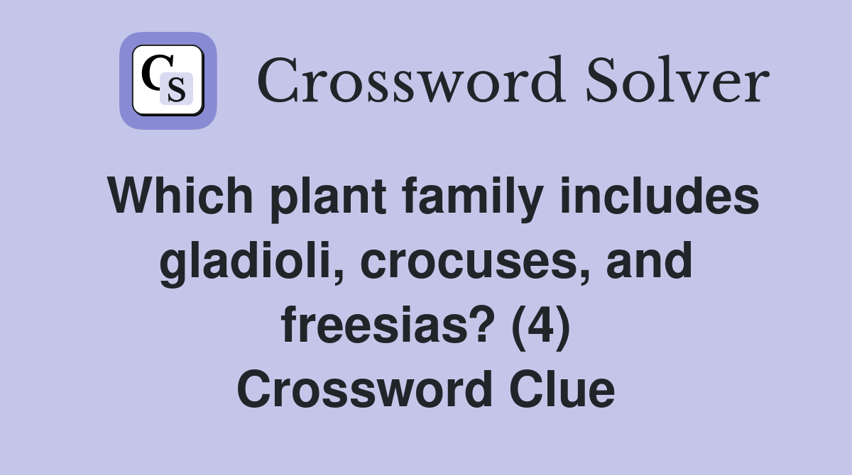 Which plant family includes gladioli, crocuses, and freesias? (4) Crossword Clue
