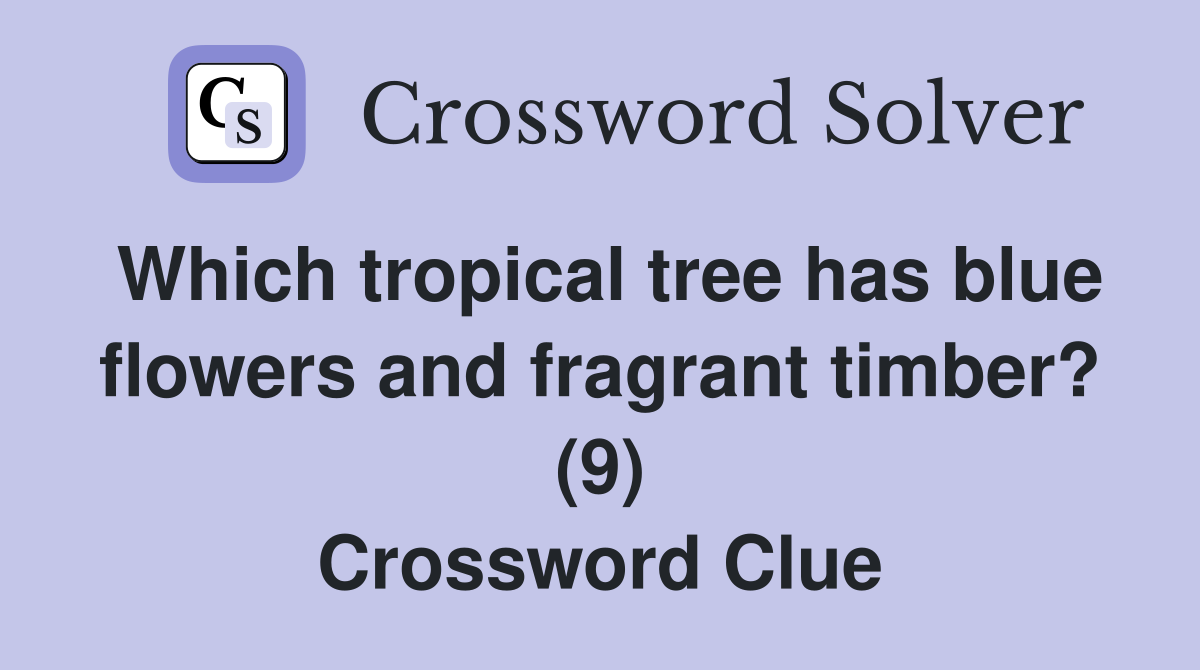 Which tropical tree has blue flowers and fragrant timber? (9) Crossword Clue