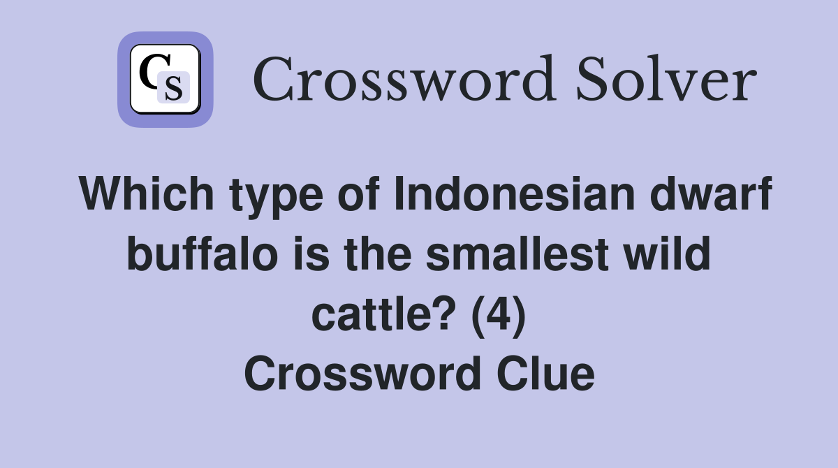 Which type of Indonesian dwarf buffalo is the smallest wild cattle? (4) Crossword Clue