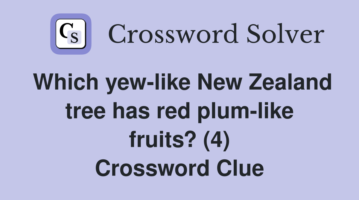 Which yew-like New Zealand tree has red plum-like fruits? (4) Crossword Clue
