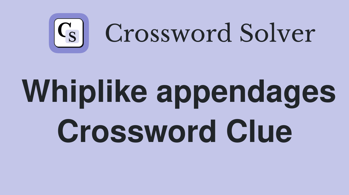 Whiplike appendages Crossword Clue