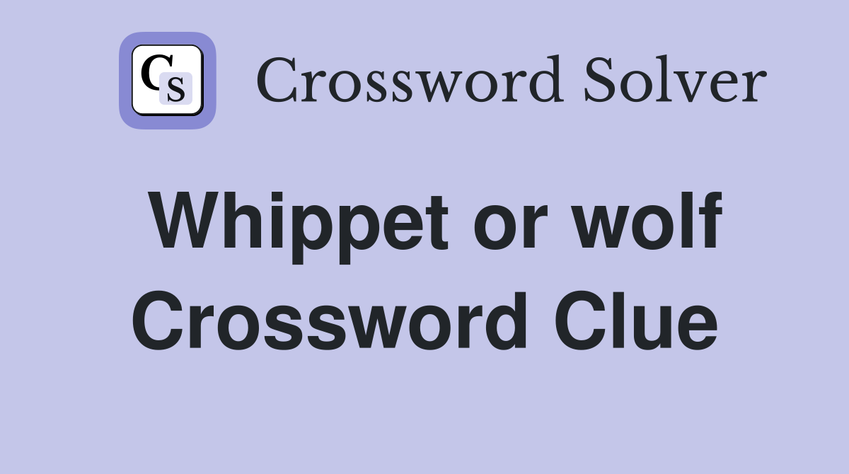 Whippet or wolf Crossword Clue