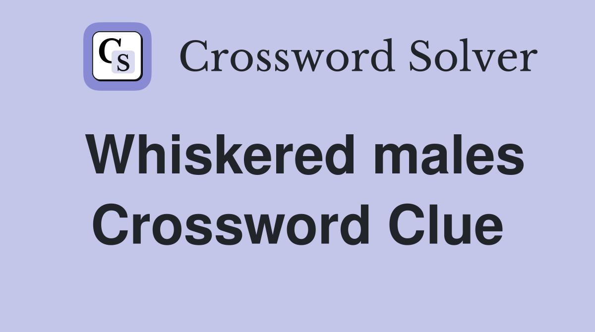 Whiskered males Crossword Clue