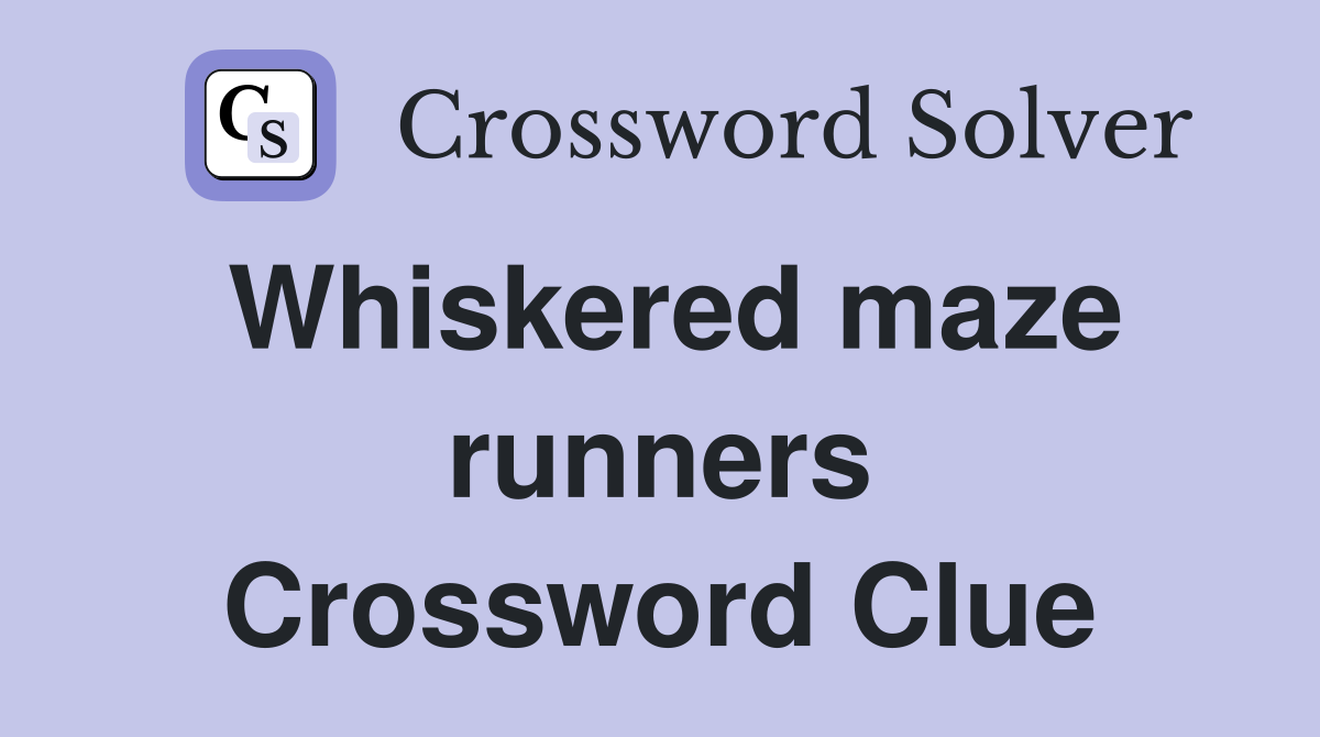 Whiskered maze runners Crossword Clue