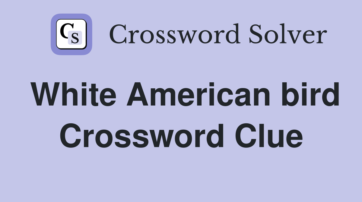 White American bird Crossword Clue
