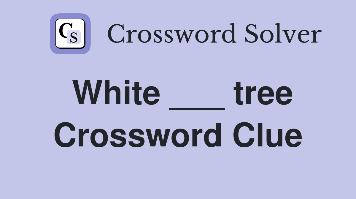 White ___ tree Crossword Clue