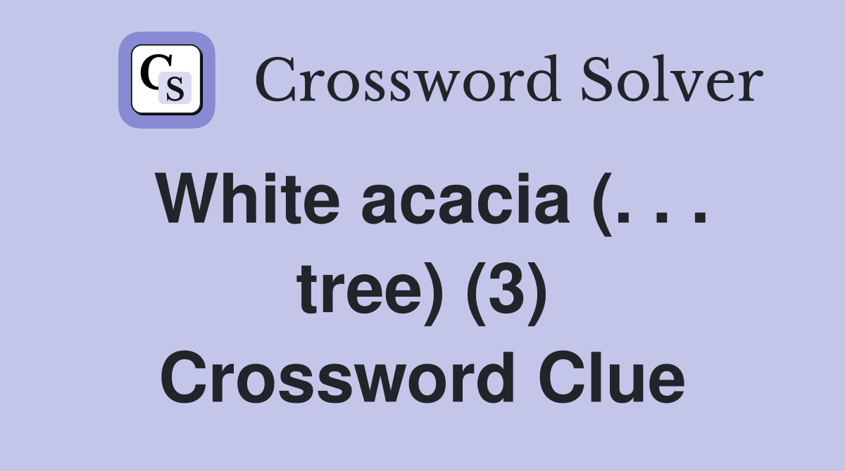 White acacia (. . . tree) (3) Crossword Clue