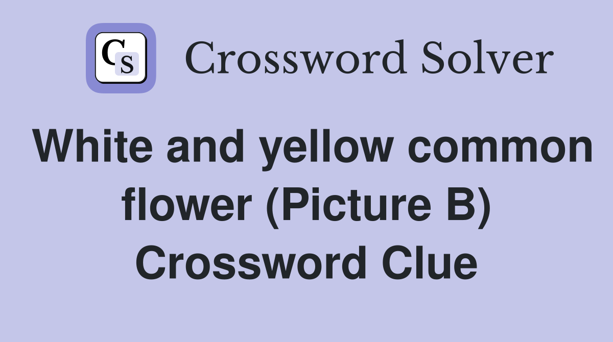White and yellow common flower (Picture B) Crossword Clue