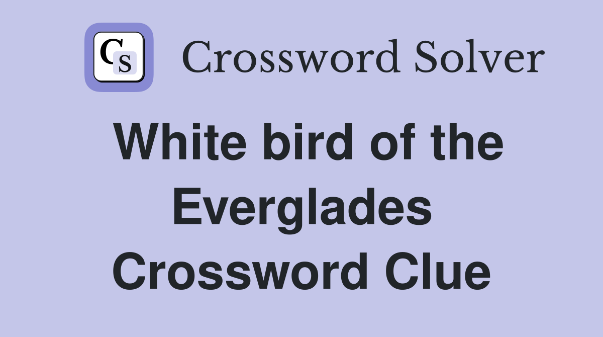 White bird of the Everglades Crossword Clue
