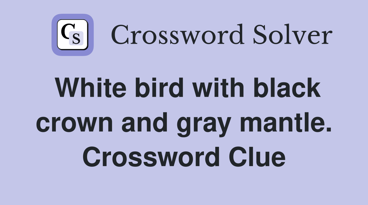 White bird with black crown and gray mantle. Crossword Clue