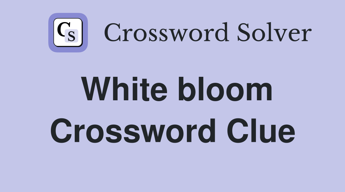 White bloom Crossword Clue