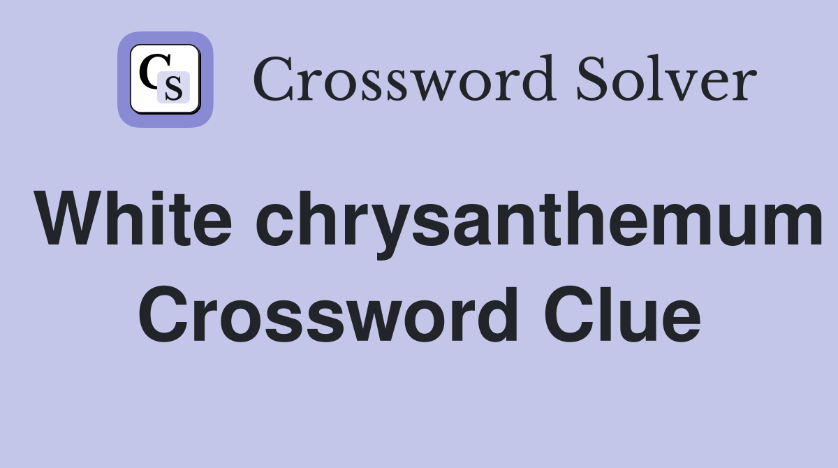 White chrysanthemum Crossword Clue