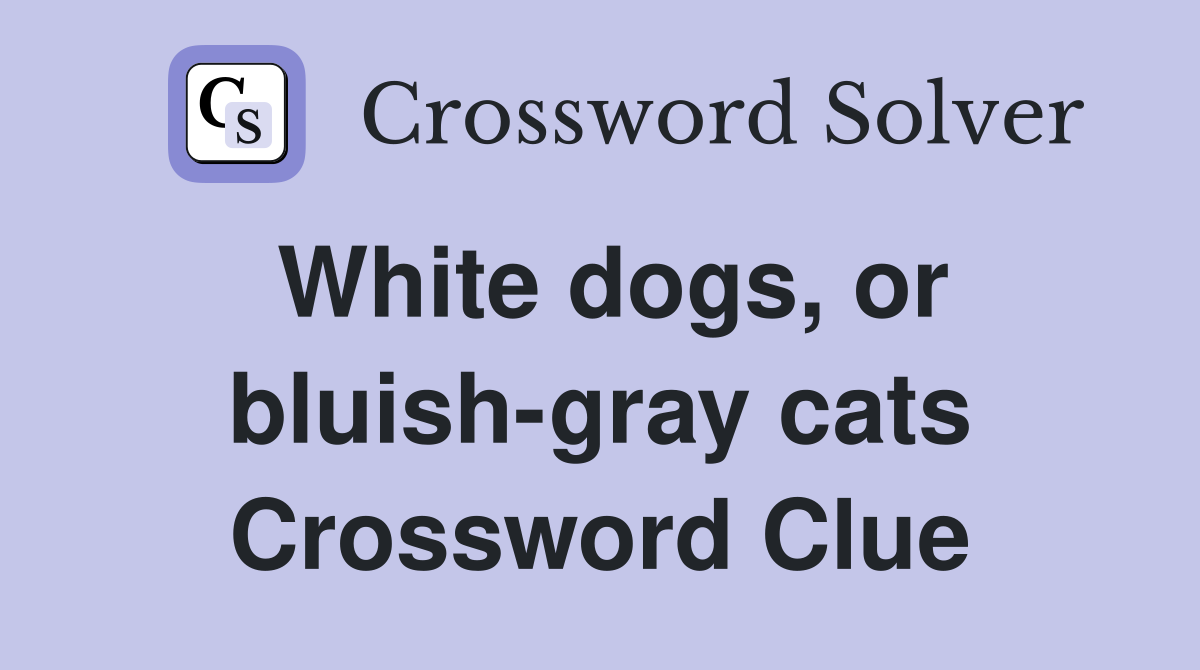 White dogs, or bluish-gray cats Crossword Clue