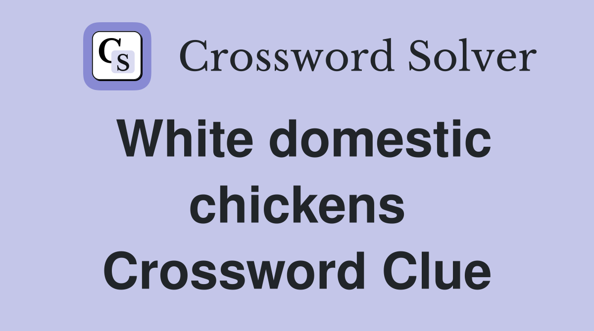 White domestic chickens Crossword Clue