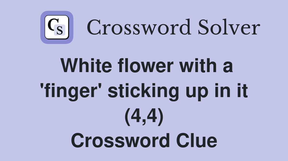 White flower with a 'finger' sticking up in it (4,4) Crossword Clue