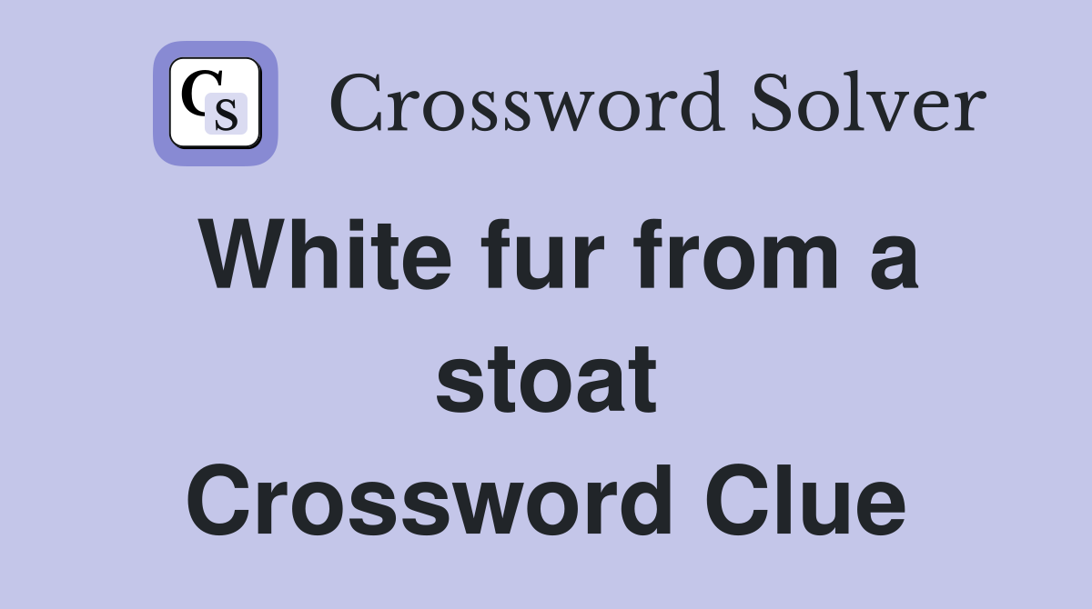 White fur from a stoat Crossword Clue