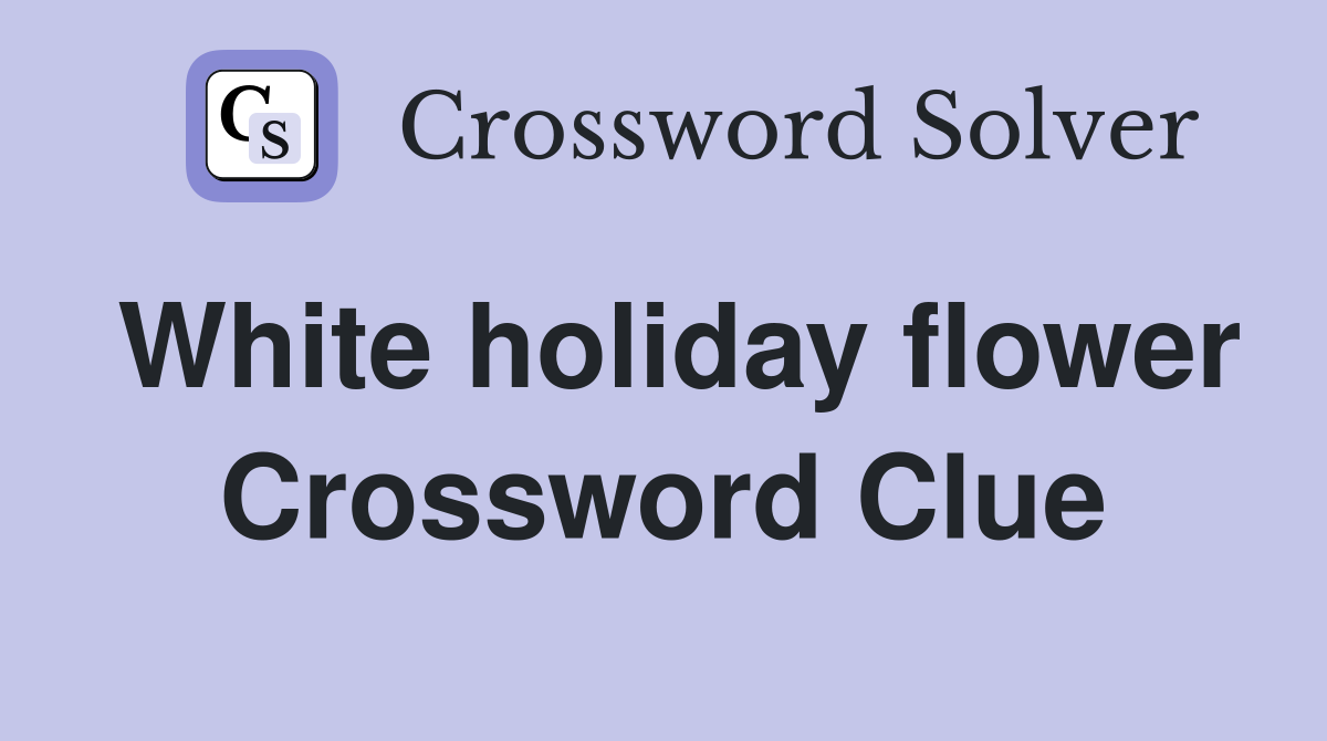White holiday flower Crossword Clue